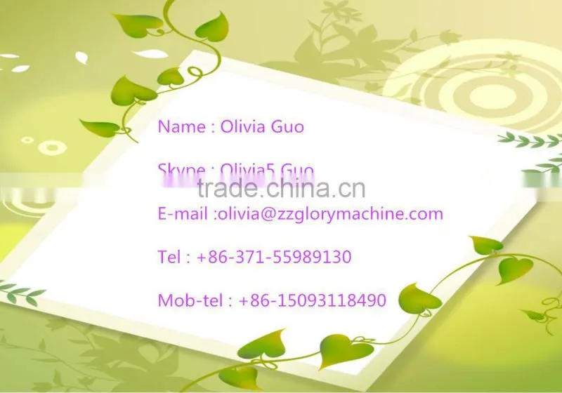 Hot Sale Pillow Automatic Packing Machine / Food Packing Machine