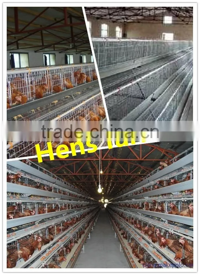 Agricultural equipment Stainless steel Bird cage Mesh chicken coop for laying hens for eggs
