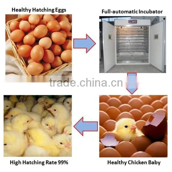 factory price full automatic egg incubator for hot sale