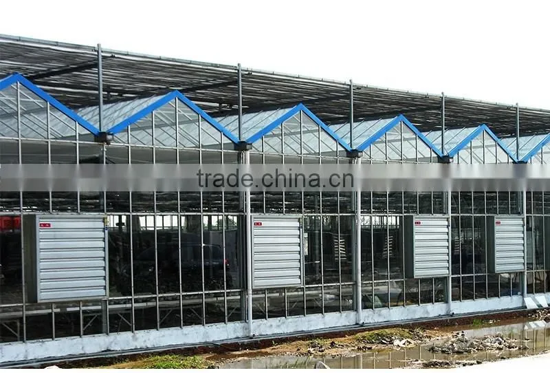 Energy-Saving industrial belt drive wall mounted exhaust fan price