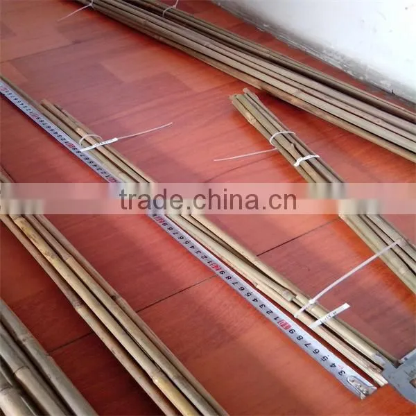 Natural Color Bamboo Cane