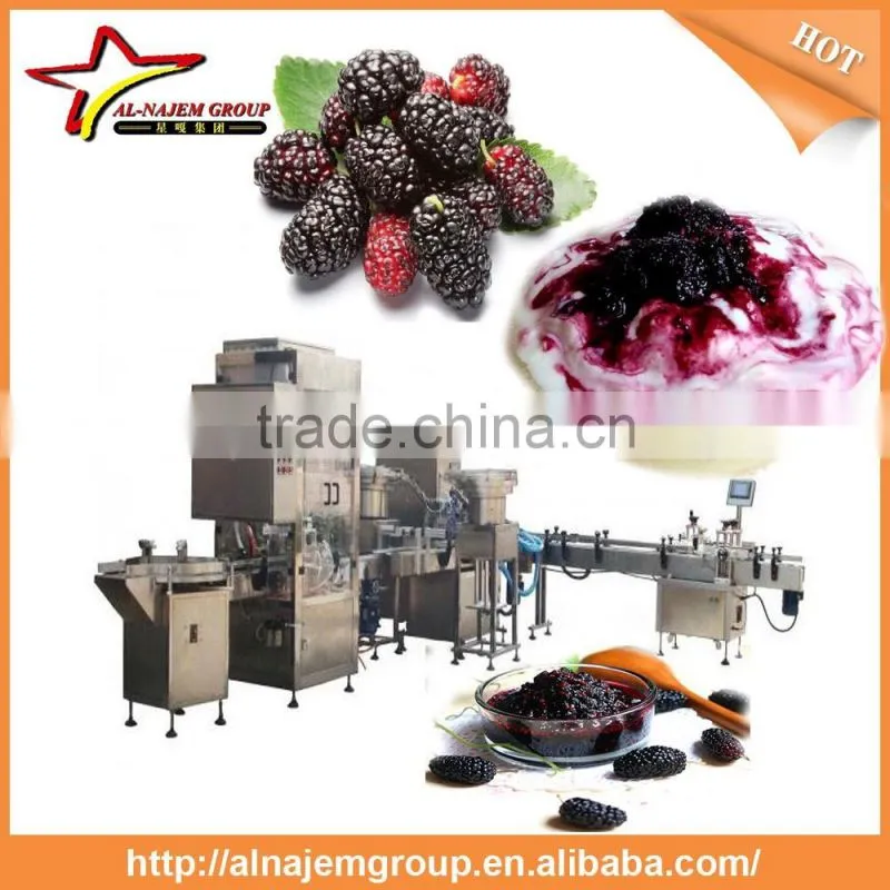 Mulberry paste making production line High Viscosity Liquid Filling Machine