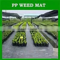 china factory 100% virgin reinforced plastic roll sheet korea pe tarpaulin