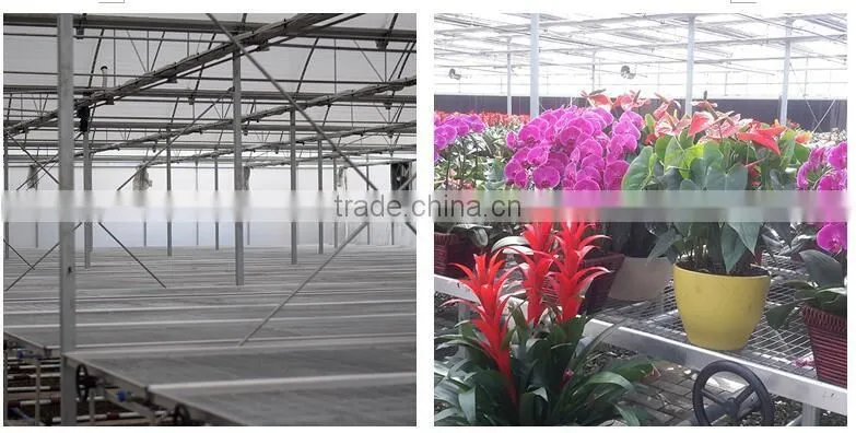 Double Inflatable Film Prefabricated Greenhouse With Hydroponic System