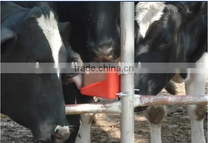 cattle licks block