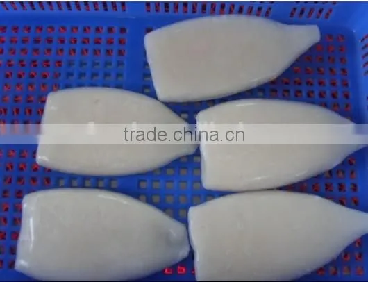 high quality clean chemical treated illex squid tube