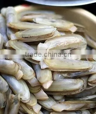 Frozen Best Sea Foods Razor Clam Meat