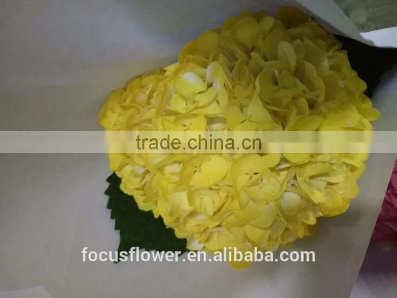 Artificial Yellow Hydrangea Flower Ball For Sale