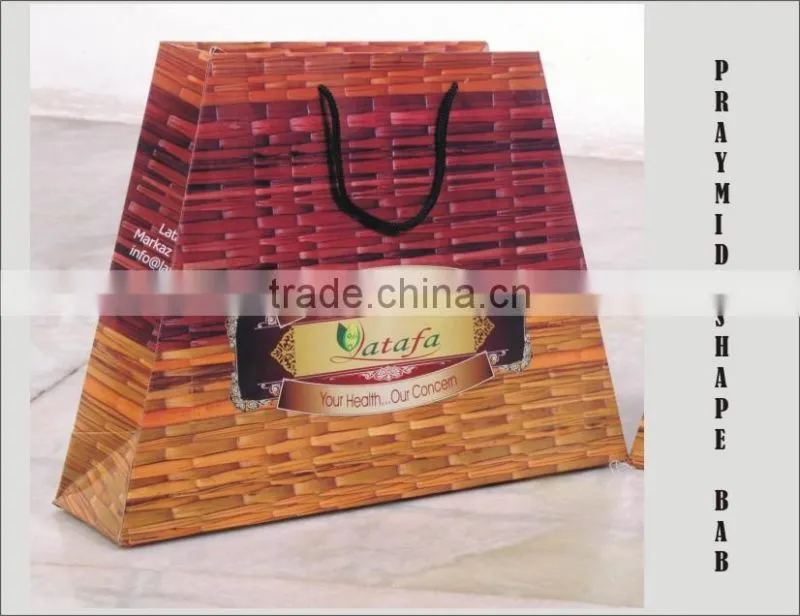 New Design & Shape Promotion Paper Bags