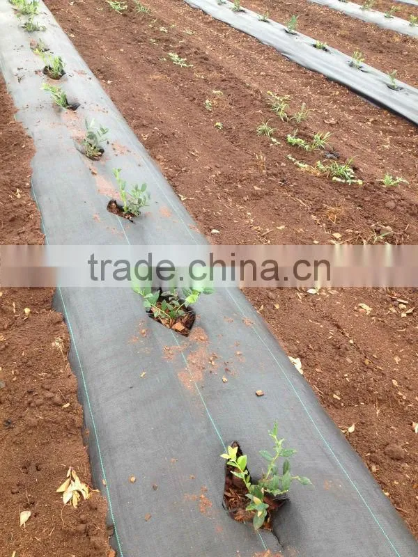 Anti-UV PP woven agricultural weed mat