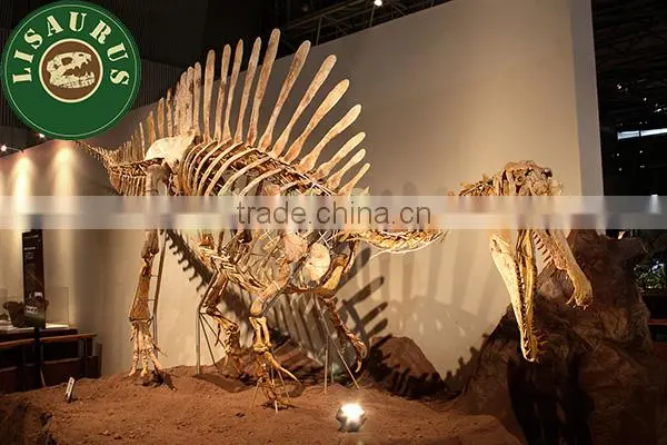 Lisaurus-J Skeleton spinosaurus model of dinosaur