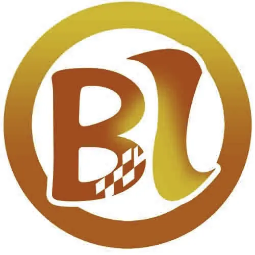 Shenzhen BL Photoelectric Technology Co., Ltd. company overview - view 1