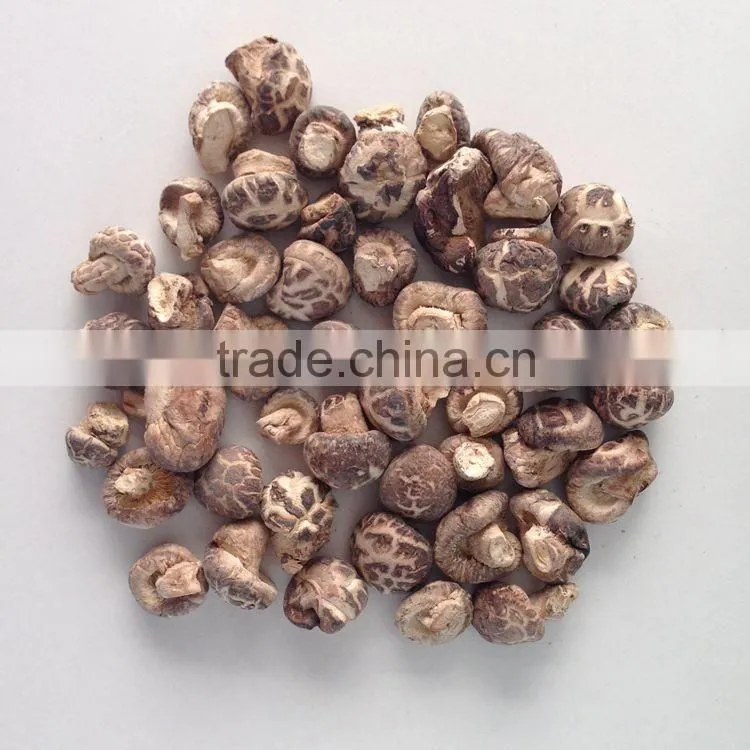 Dried Tea Flower Shiitake Mushroom with Cap 1-2 CM