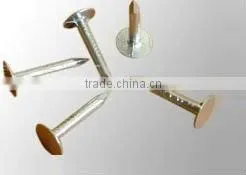 flat head roofing nails&clout nails