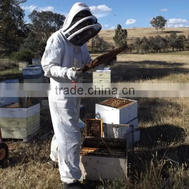 Low price antistatic garment /Beekeepering Suit Coverall/protective suit