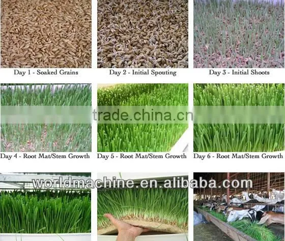 hydroponic systems/barley grass grown machine