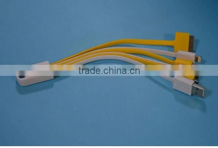 multi-function usb charger cable for iPhone 5 for iPhone 4 micro mini and type c