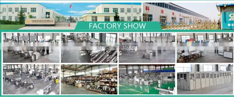 Automatic Thin and long Nutritional Artificial Rice Production Line