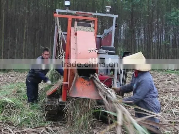 Well-known TAGRM brand sugarcane leaf remover/with two wheels sugarcane leaf peeling machine