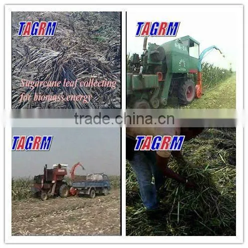 hot selling sugar cane leaf stripper (180)