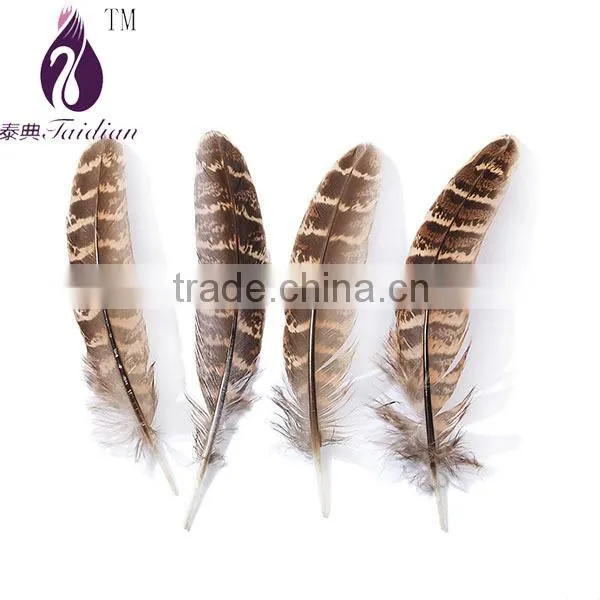 Natural Ringneck pheasant wing feathers for bulk sale