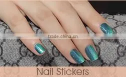 Stamping Hollow Out Flash Nail Art Stencil