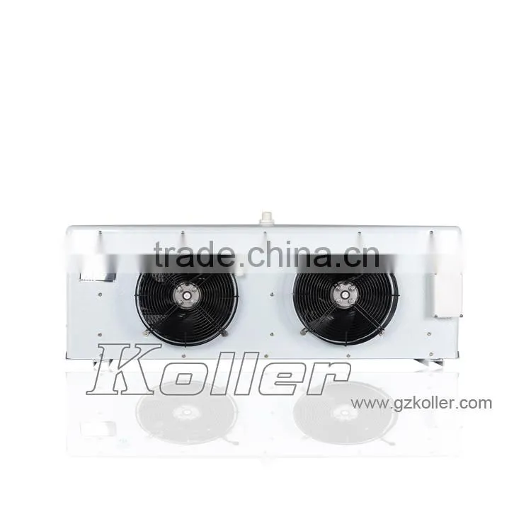 Koller hot sale small capacity cold storage room with refrigerators for fruits VCR20