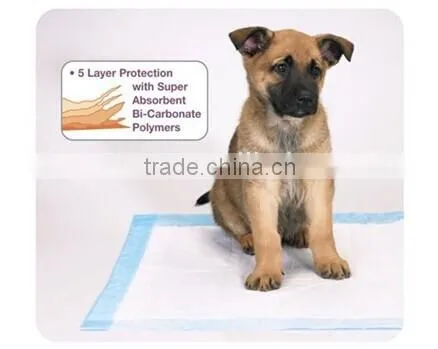 disposable pet pad