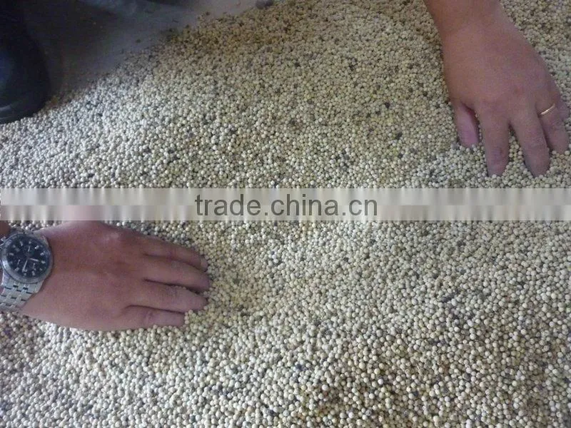 WHITE PEPPER