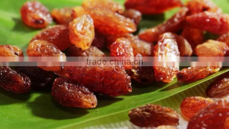 Dried fruits wholesale red raisin