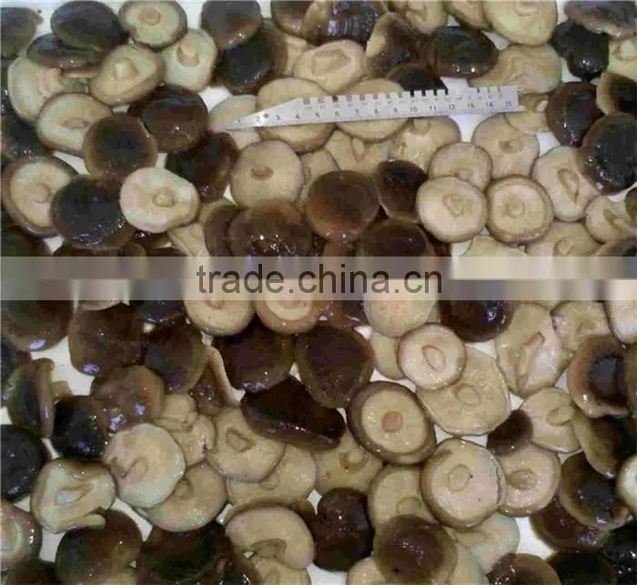CANNED SHIITAKE MUSHROOM