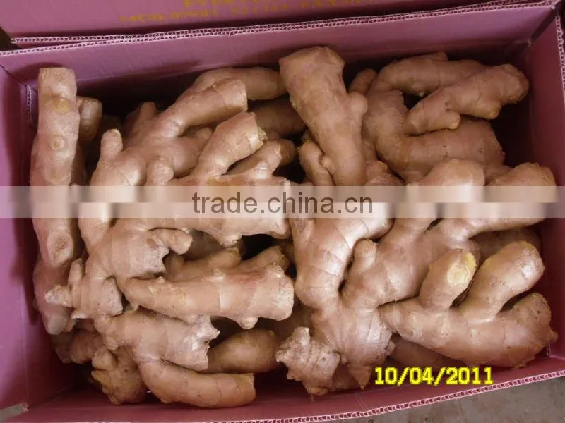 Fresh Ginger