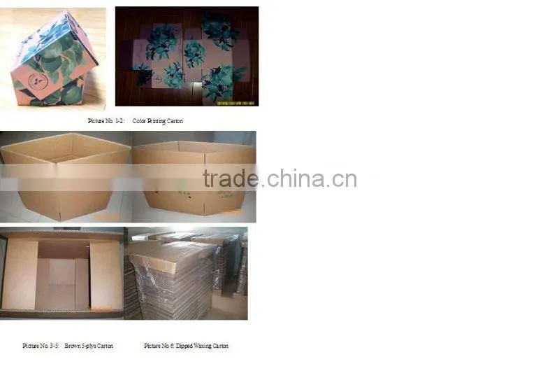 Corrugated Seafood Wax Boxes for Australia Seafood Market