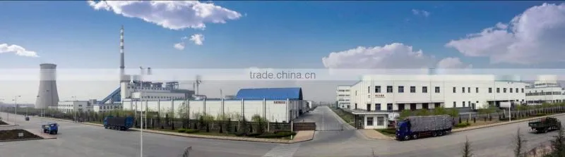 Linyi Shansong Biological Products Co., Ltd. company overview - view 3