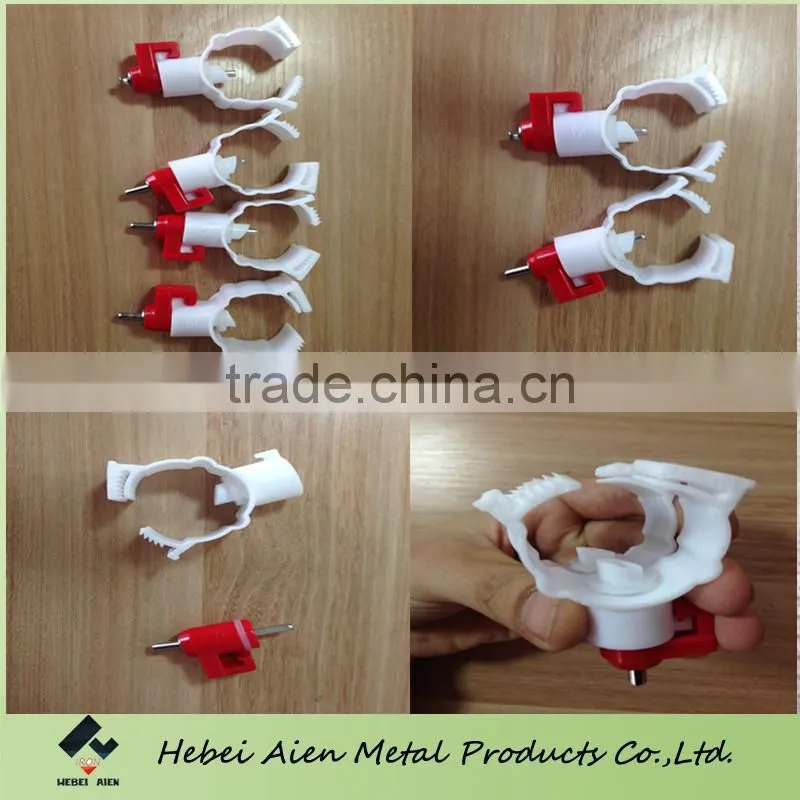 breeding poultry drinking system