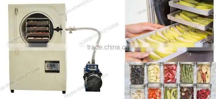 Easy used freeze drying fruit machine