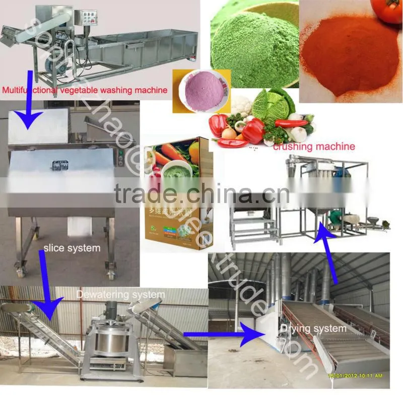 Stainless steel dryer for fruit powder/vegetable powder