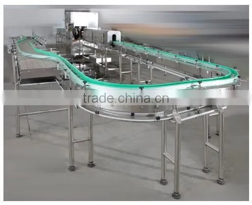 Bottle Conveyor
