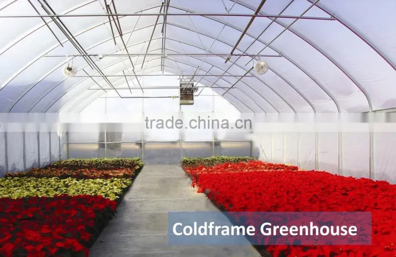 RoughBrothers Galvanized Steel Frame Agricultural Tunnel Greenhouse
