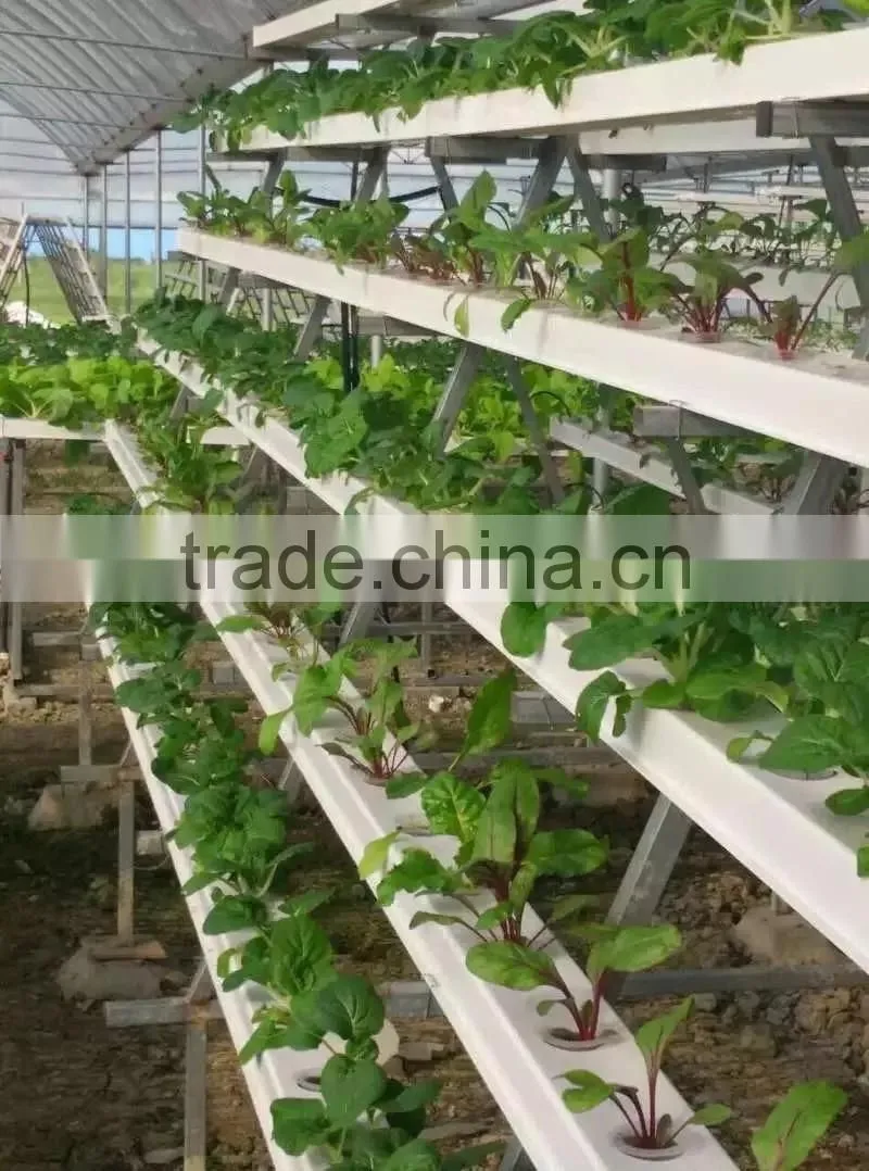 Vertical Hydroponics system