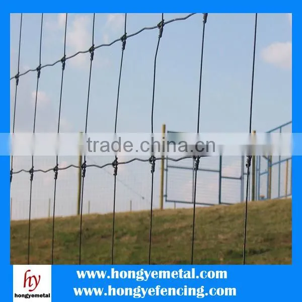 sheep wire netting