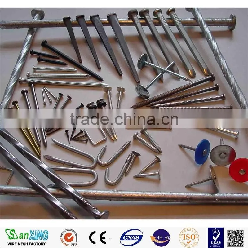 Common nail sns nail paslode nail gun