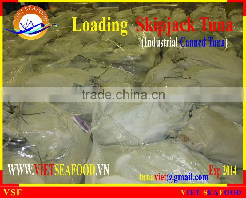 LOADING FROZEN SKIPJACK TUNA W/R