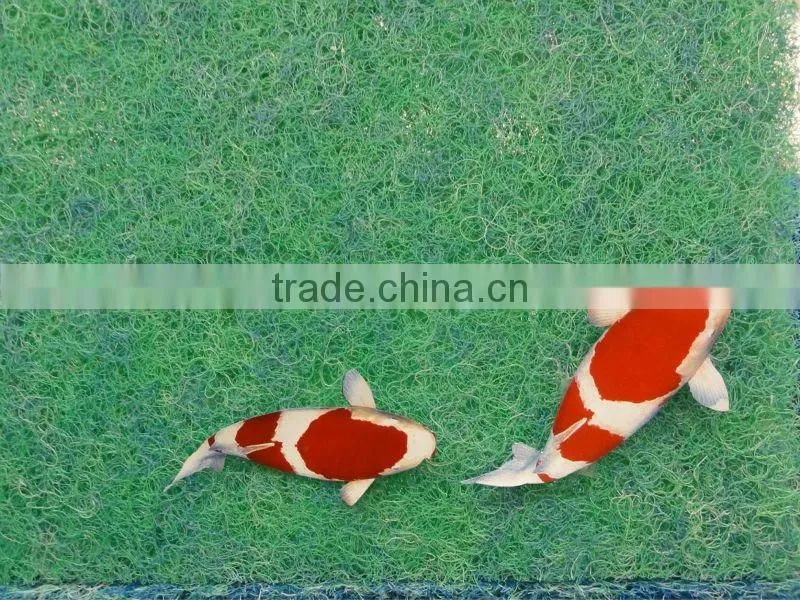 2014 Hot selling Good Quality Water Filter Medium for Fish pond and Aquarium Filter Mat