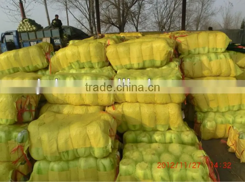 PP net bag vegetable, net bag for potato
