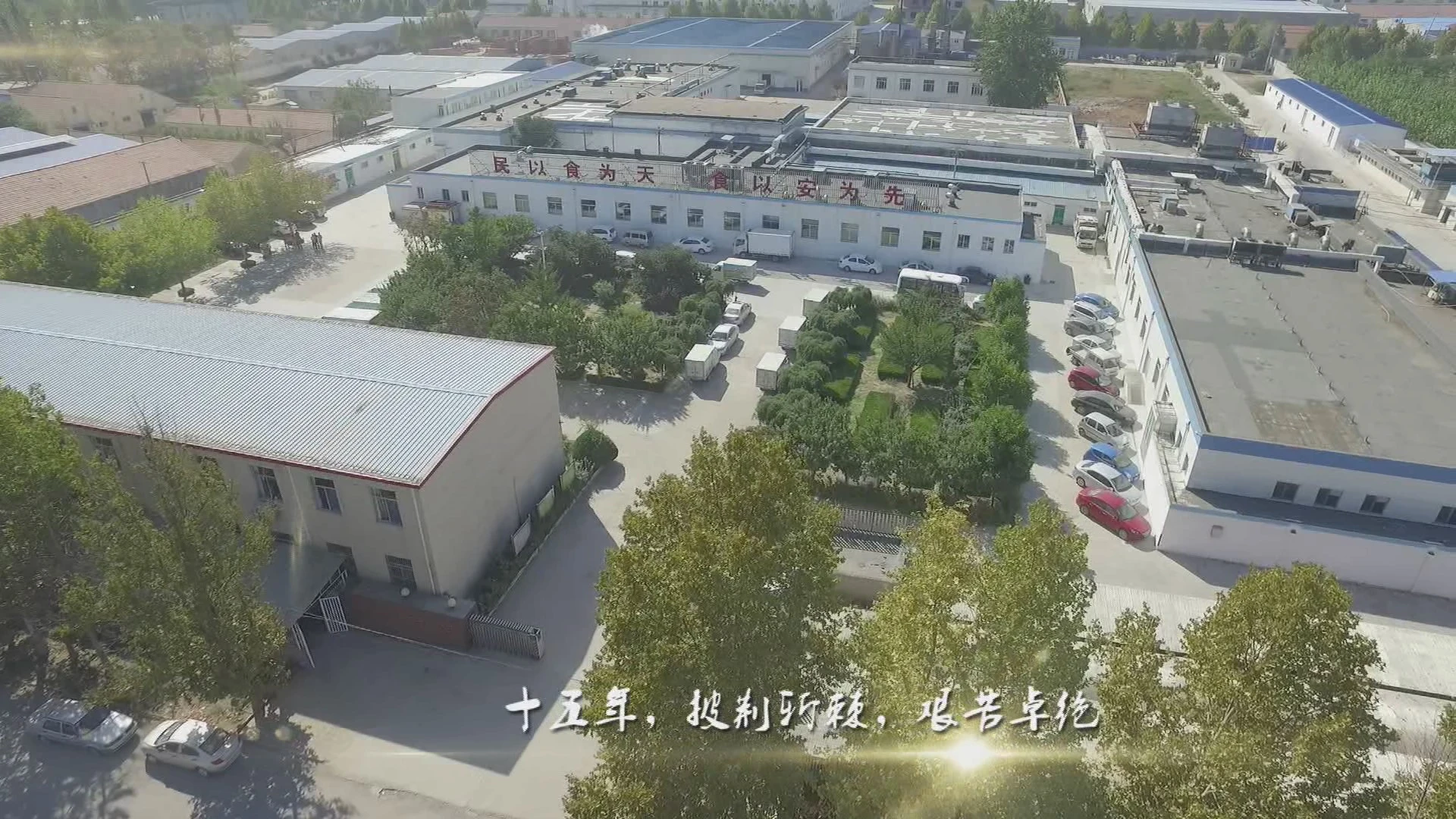 Weifang Longtai Food Co., Ltd company overview - view 2