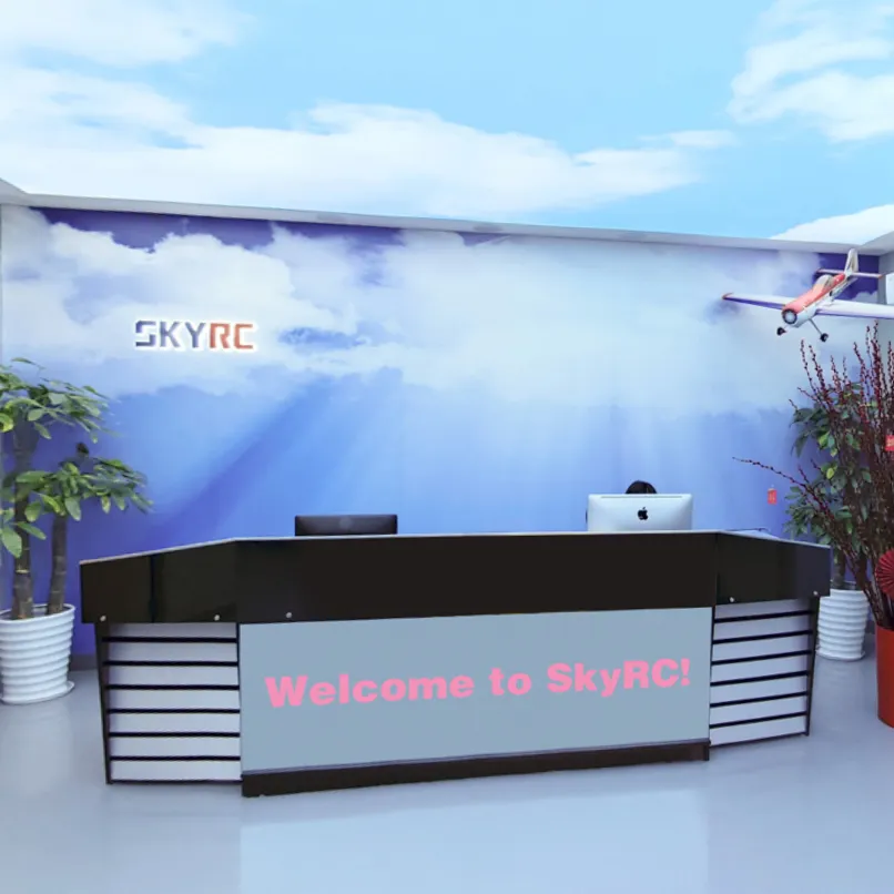 SkyRC Technology Co., Ltd. company overview - view 1