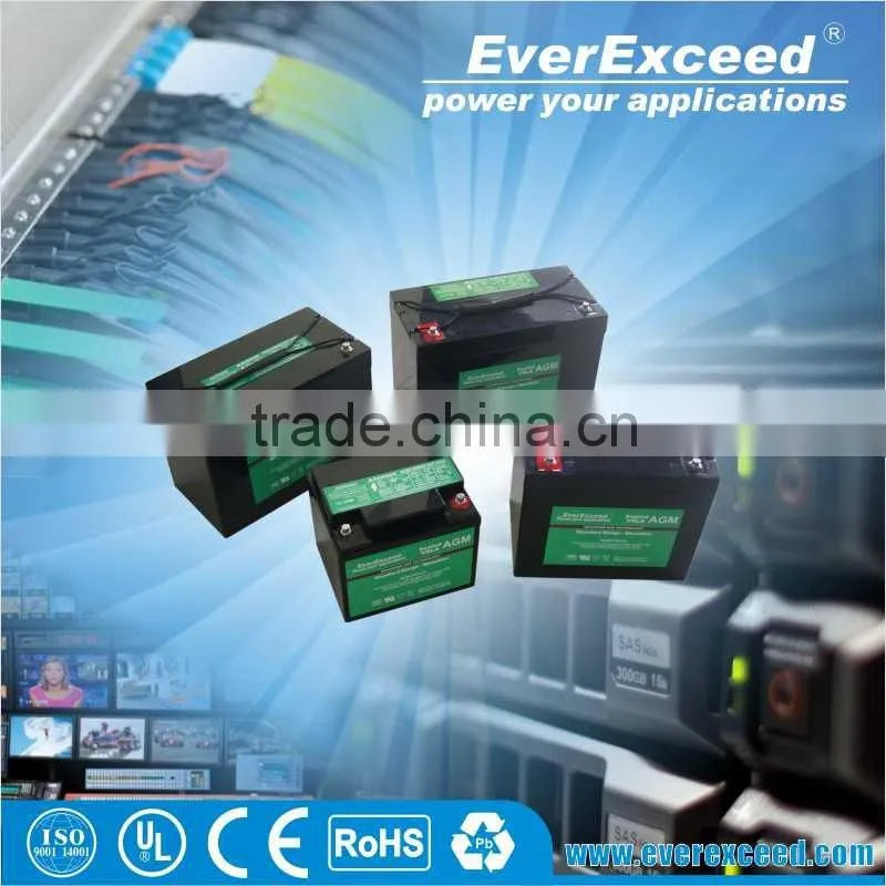 EverExceed 1-400KVA 3 Phase Low Frequency Online UPS, GBT input rectifier PowrNX For Telecommucation