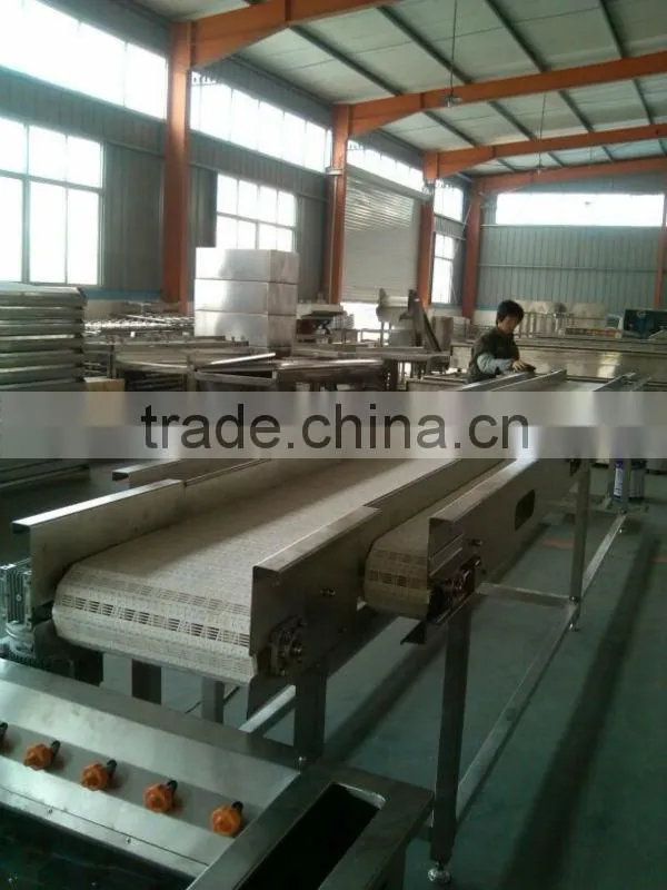 Pomegranate arils processing machine