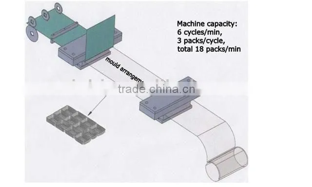 Thermoforming Vacuum Packaging Machine